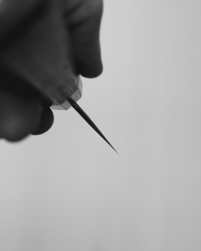 Shigeki Tanaka 210 ginsan gyuto polished