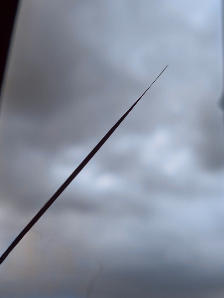 Hyde Aogami Damascus gyuto