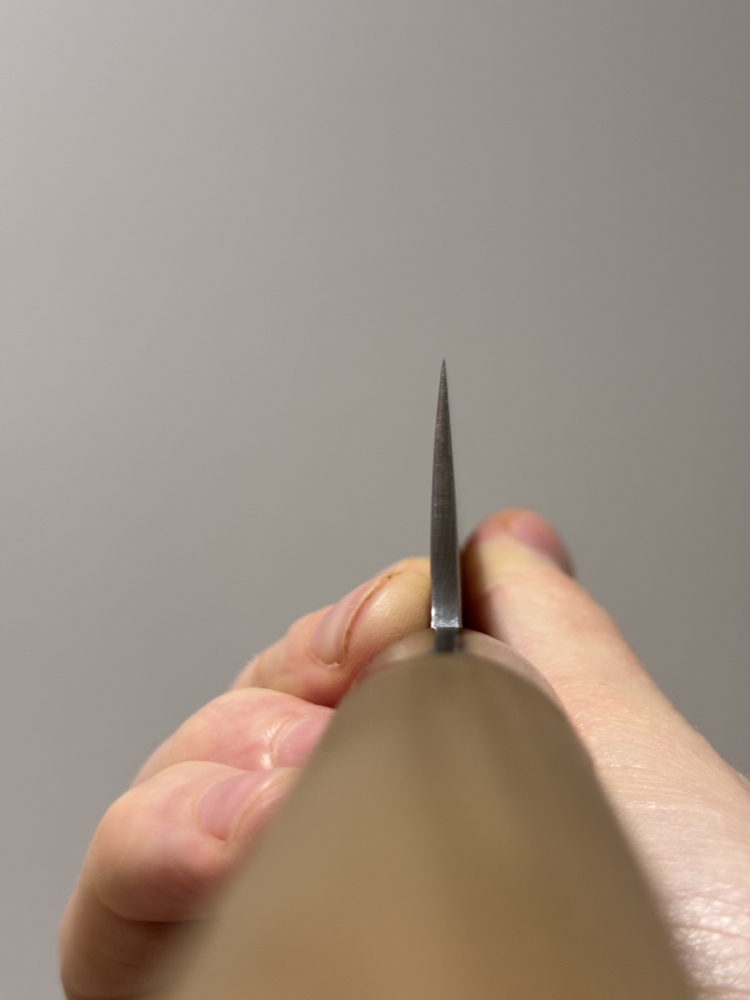 Jikko Ginsan 270mm Gyuto