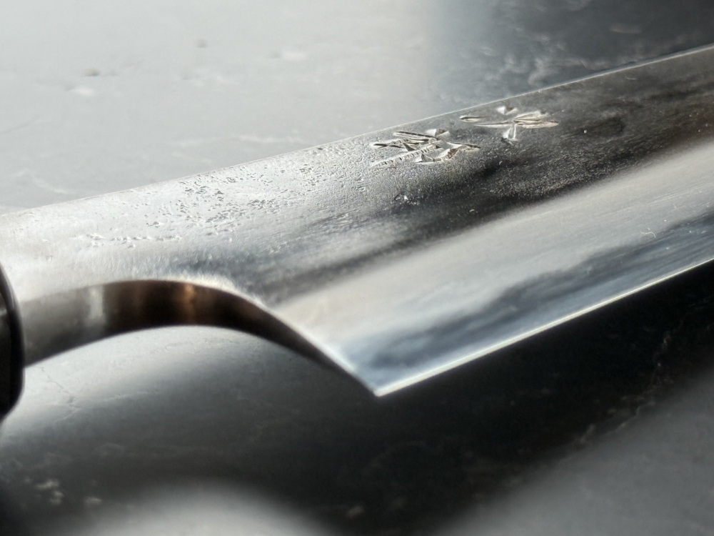 Jiro Tsuchime Wa Sujihiki 210mm (brand new)