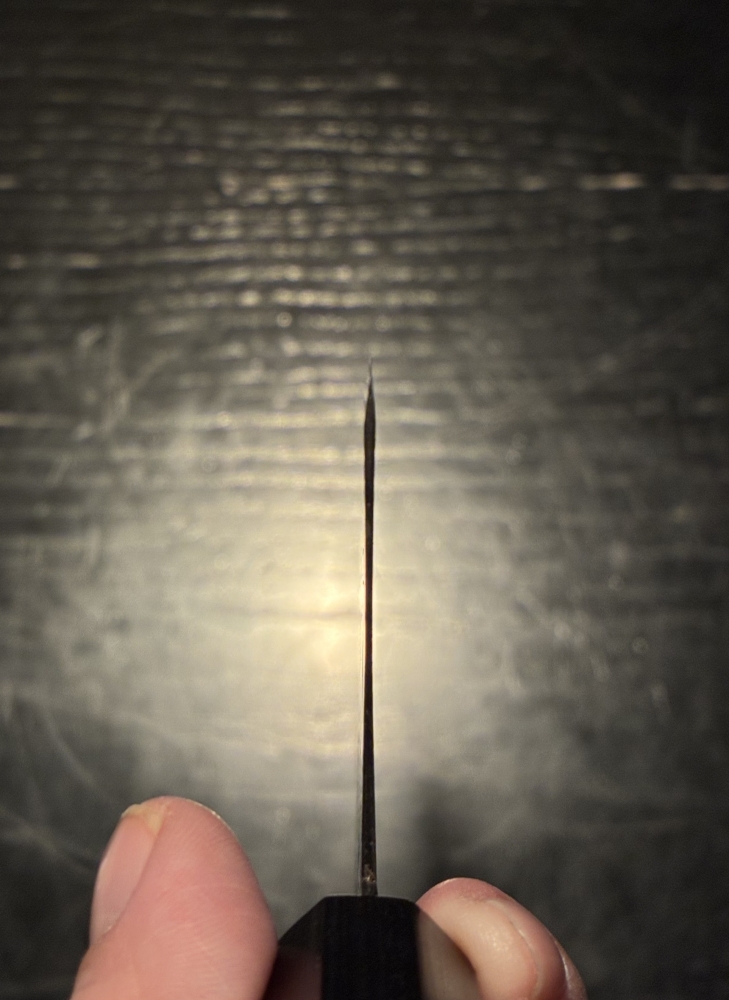 Takeda NAS Bunka/Kiritsuke 210mm NEW