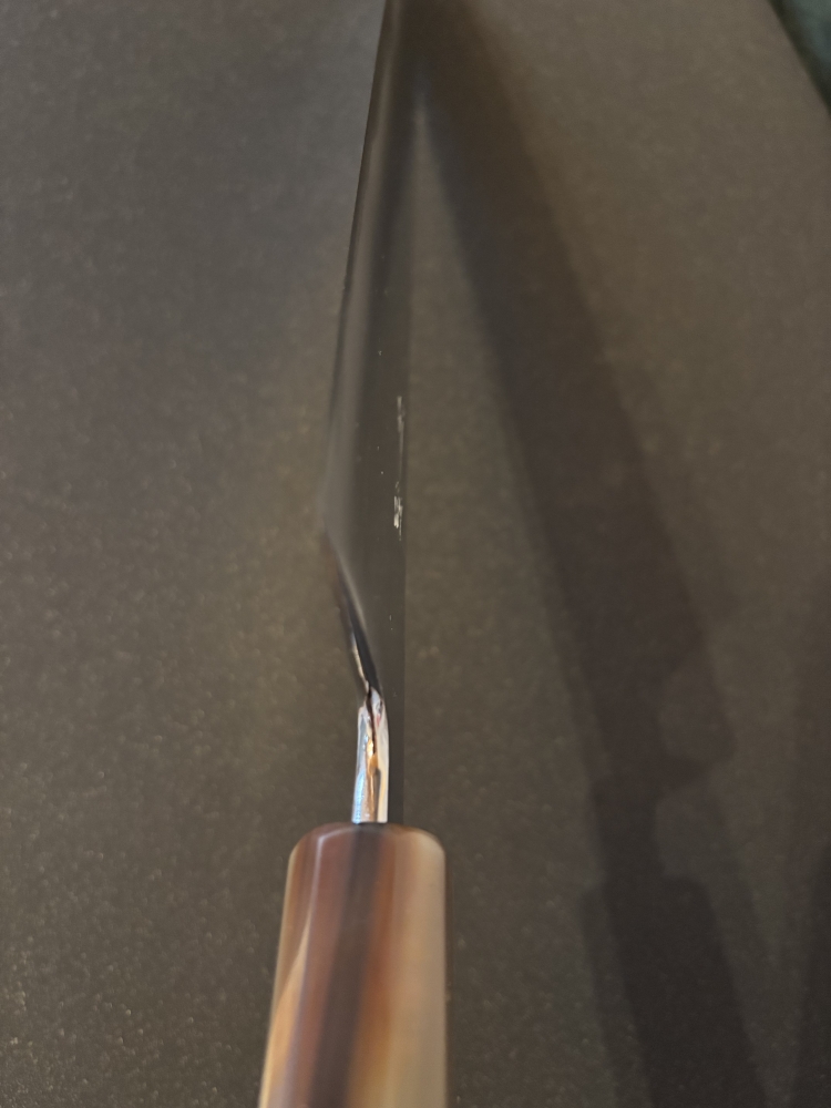 Toyama Noborikoi Gyuto, stainless clad, 🦄!!!