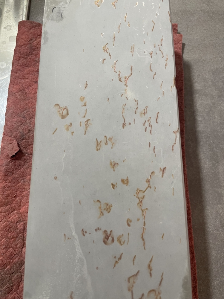 Marouyama Shiro Suita 30 Tipe