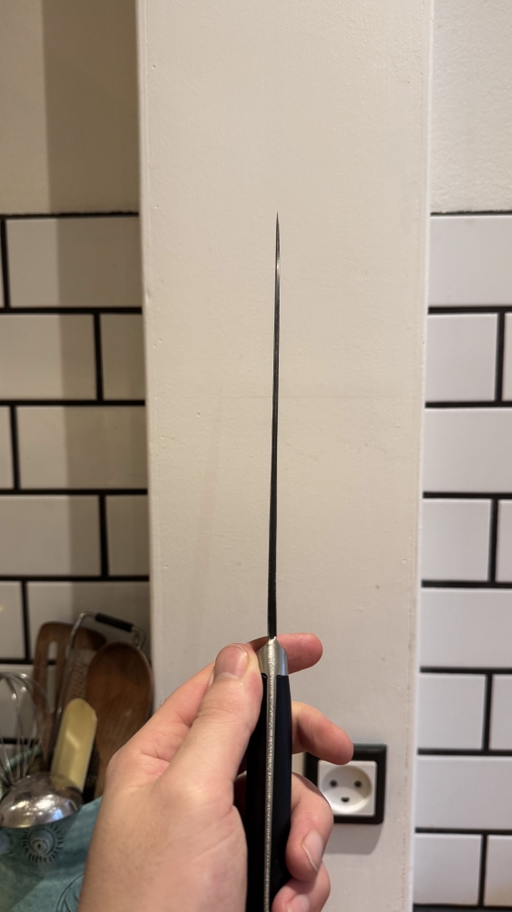 Morihei Hisamoto Kurouchi W#1 210mm Gyuto
