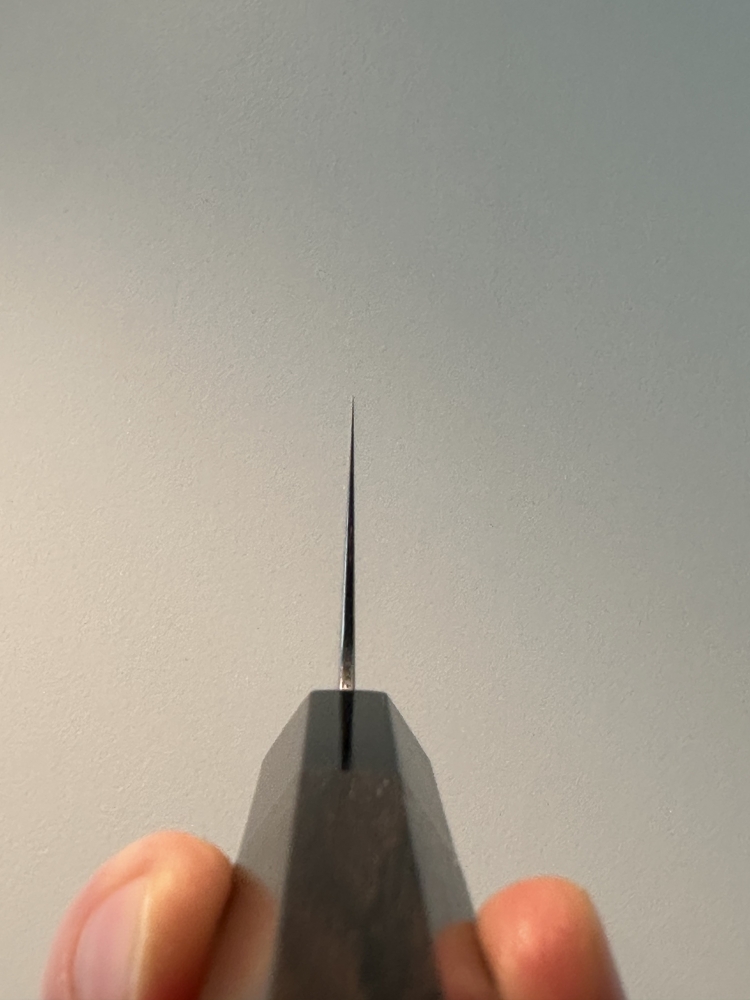 Tanaka Izo 240mm Gyuto Blue #1 Stainless Clad