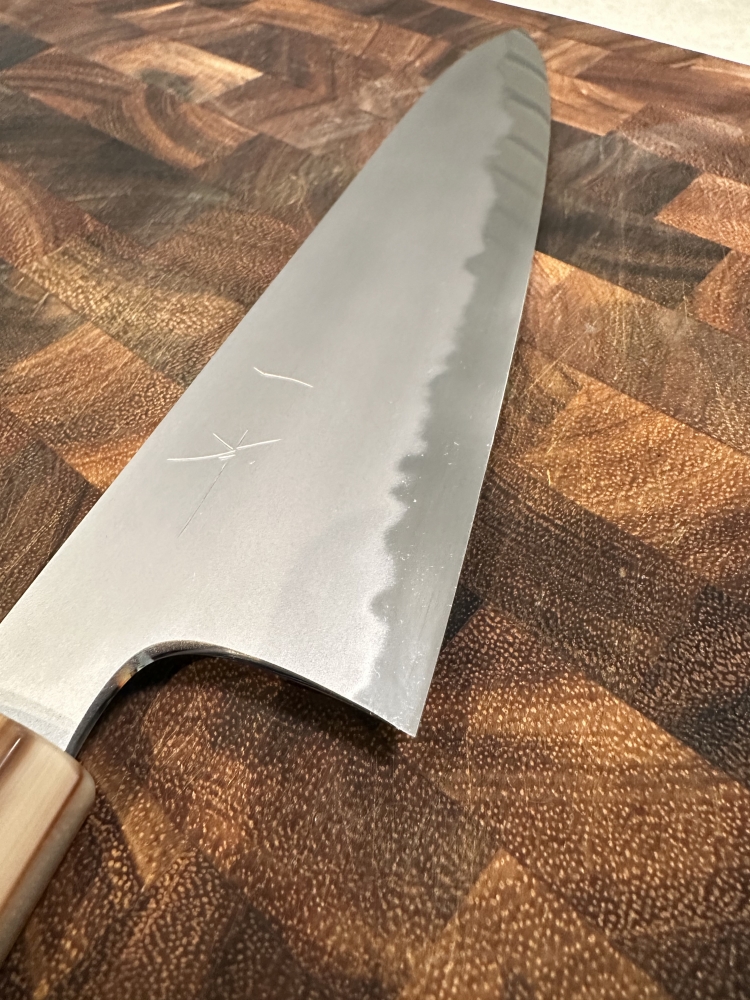 Tanaka Yohei 240mm Gyuto Blue #1