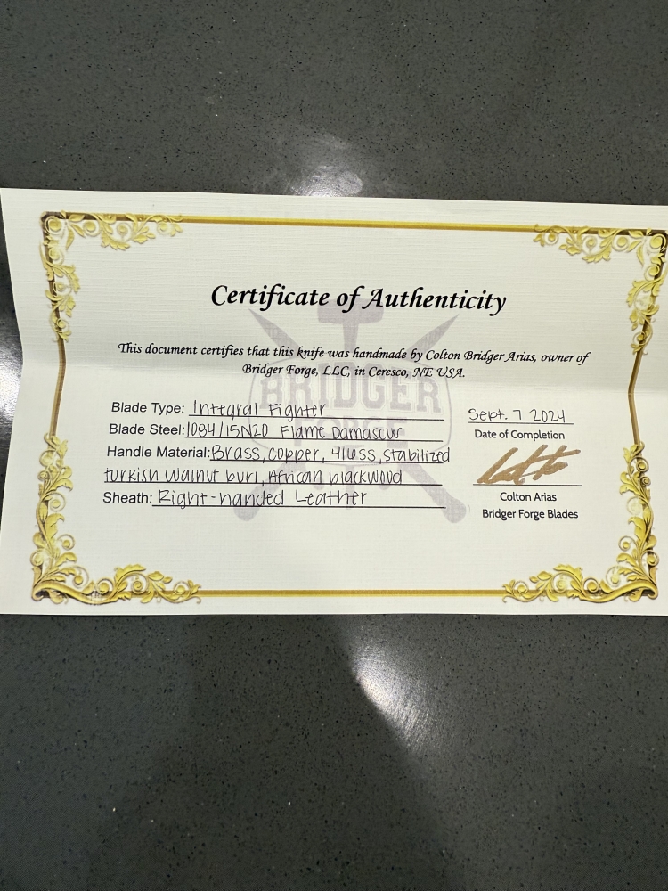 Integral Fighter- Flame Damascus