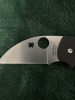 Spyderco lil Native
