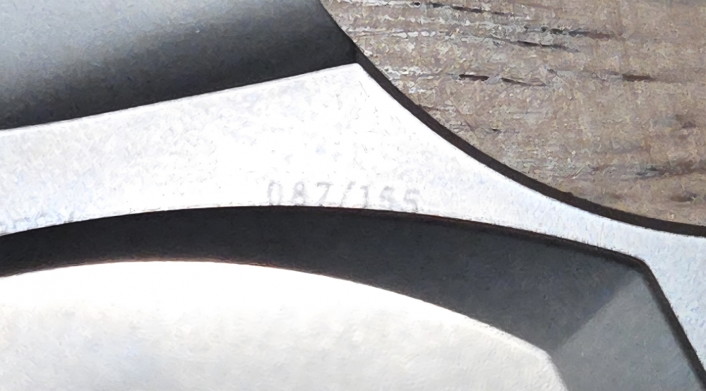 WE Knife Nexusia - Limited edition folding knife