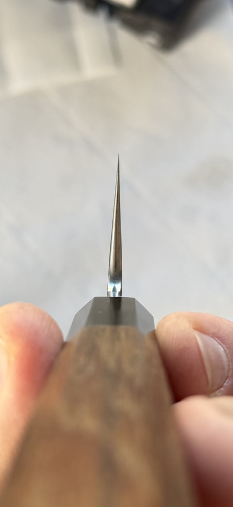 Hatsukokoro Komorebi Aogami 2 Gyuto 210