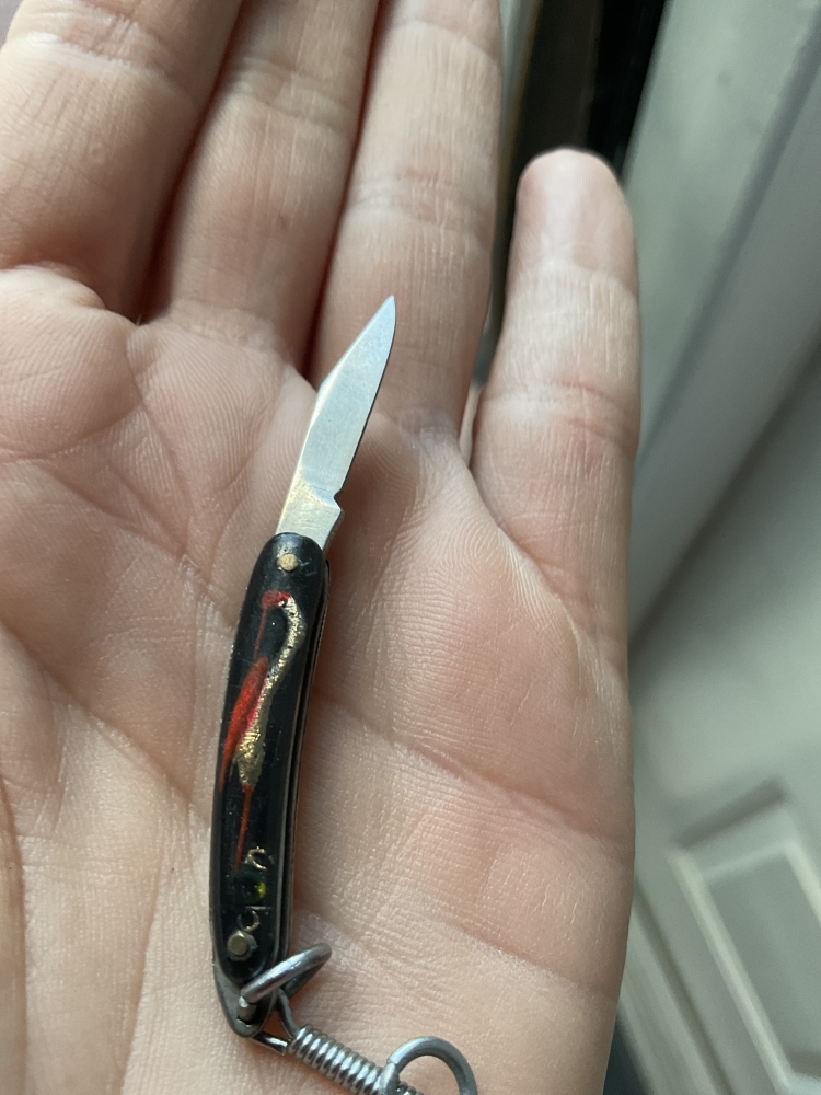 Very small vintage folding knife with gold and red bird