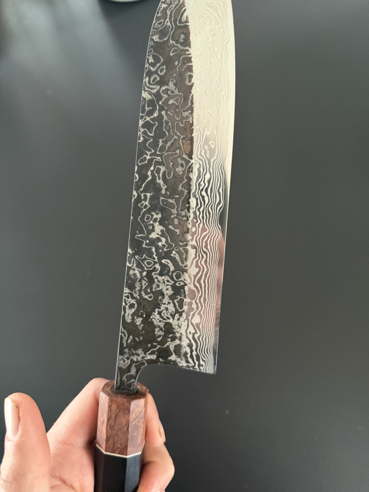 Masashi SLD stainless clad 210mm gyuto.