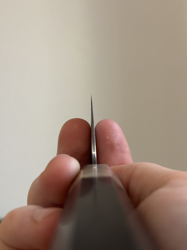 Sukenari Hap-40 240mm Gyuto