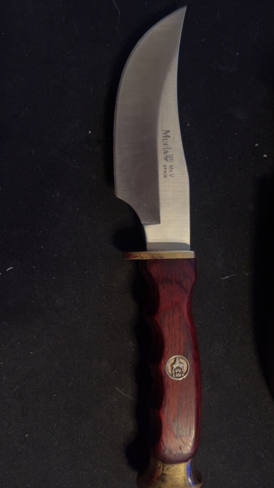 DP-10M - Coral Handle Skinning Knife by MUELA