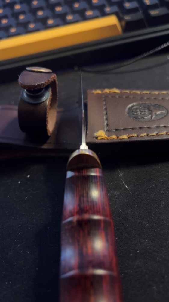 DP-10M - Coral Handle Skinning Knife by MUELA