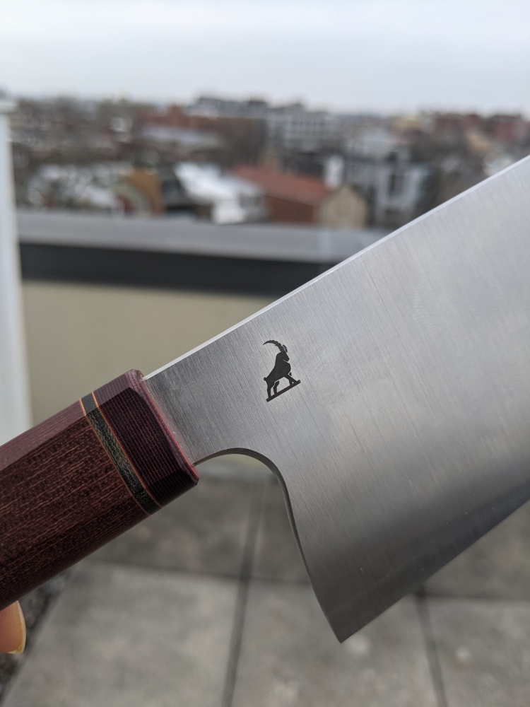 Brand New Fabian Jaeger Gyuto 250x61 mm with Custom Saya/Sheath