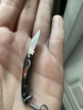 Very small vintage folding knife with gold and red bird