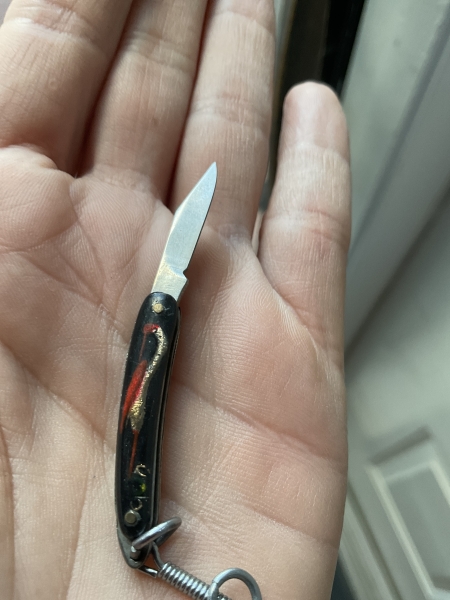 Very small vintage folding knife with gold and red bird