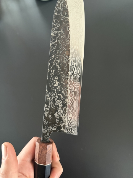 Masashi SLD stainless clad 210mm gyuto.