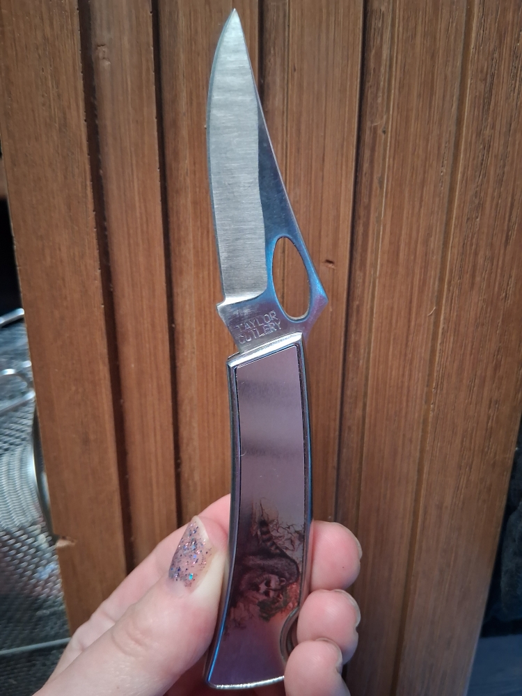 This is a 1980s Taylor USA Pam Essex Raccoon wildlife art pocket knife
