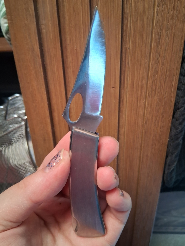 This is a 1980s Taylor USA Pam Essex Raccoon wildlife art pocket knife