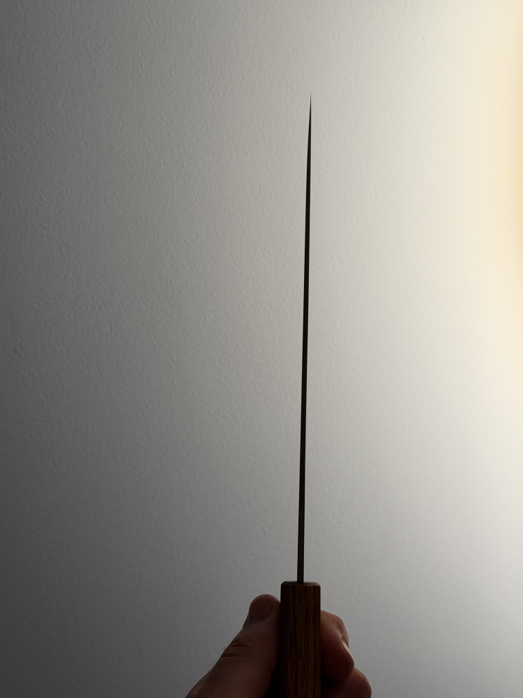 Enjiki Yamatsuka x Maruyama Ginsan Gyuto 240mm