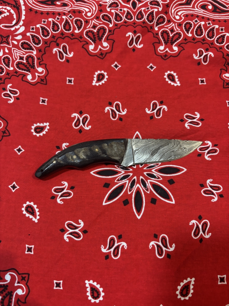 Texan Knives Ram Horn Knife