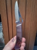 This is a 1980s Taylor USA Pam Essex Raccoon wildlife art pocket knife