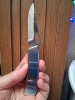 1980s Taylor USA Pam Essex Mallard wildlife art pocket knife