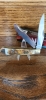 Steel warrior Trapper Ram horn
