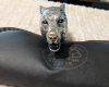 Franklin Mint Timber Wolf Folding Knife 
