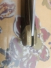 Schrade LB7 \"Bearpaw\" Knives with Consecutive Serial Numbers and Factory Cases