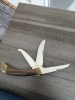 Browning 503 Folding 3 Blade Hunting Knife (No Sheath)