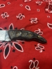 Texan Knives Ram Horn Knife
