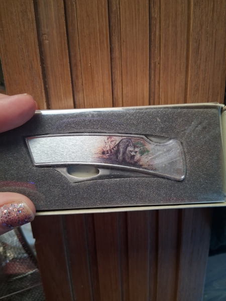 This is a 1980s Taylor USA Pam Essex Raccoon wildlife art pocket knife