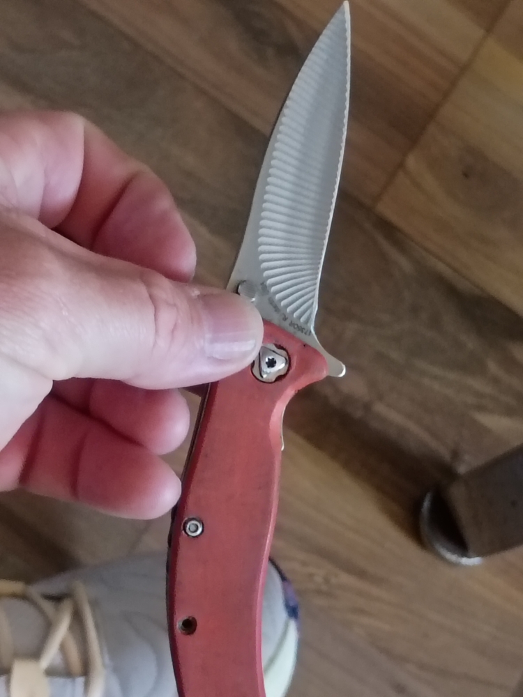 Kershaw zing RJ Martin design scalloped blade