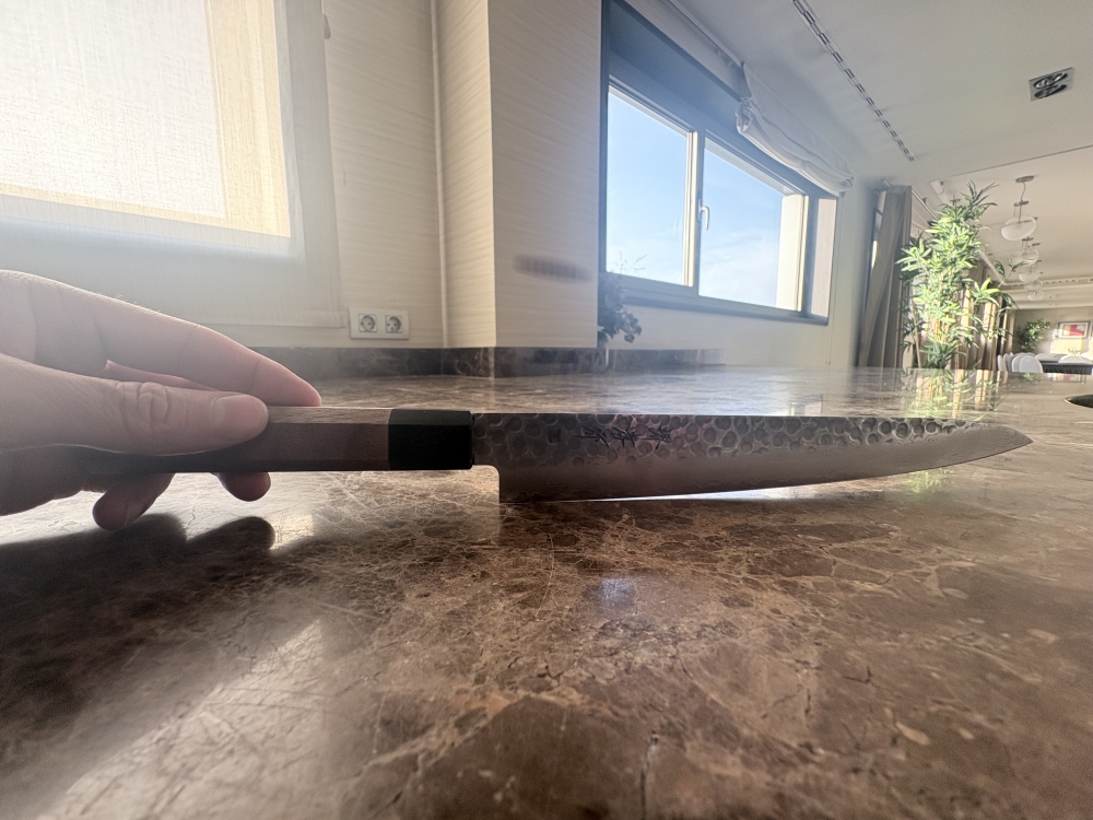 Sakai Takayuki VG10 Damascus 45 Layers Sujihiki 240 mm 