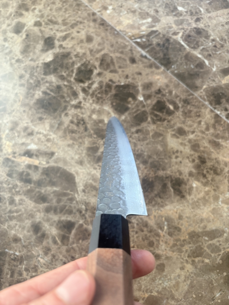 Sakai Takayuki VG10 Damascus 45 Layers Sujihiki 240 mm 