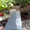 Kyohei Shindo Bunka Jnat Polish
