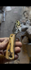 skinning sharpfinger