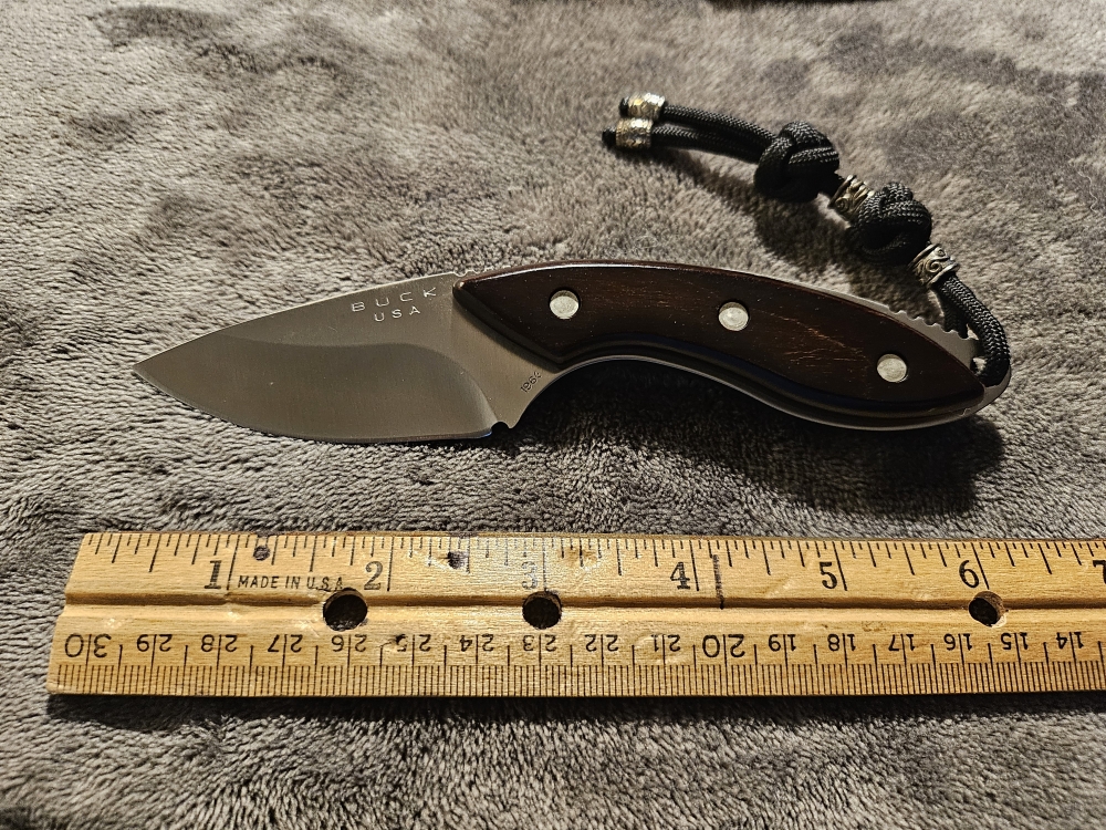 Buck 196 Mini Alpha Hunter w/ Sheath 