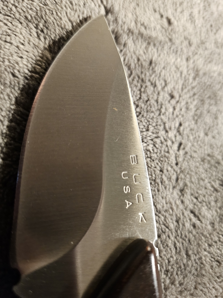 Buck 196 Mini Alpha Hunter w/ Sheath 