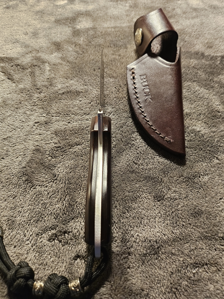 Buck 196 Mini Alpha Hunter w/ Sheath 