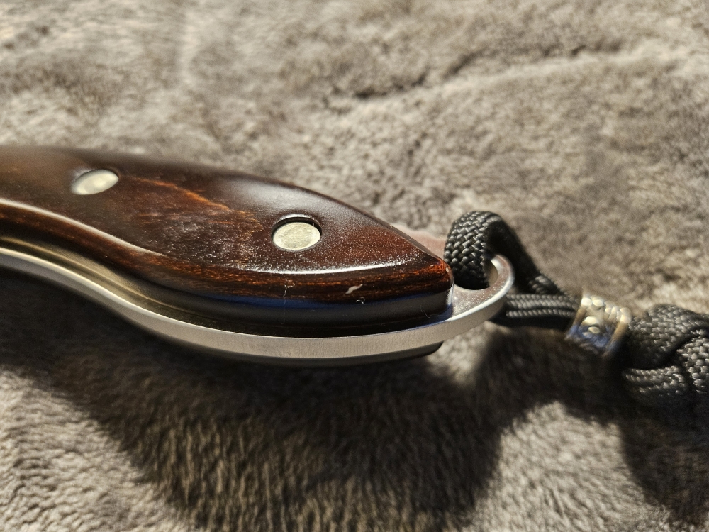 Buck 196 Mini Alpha Hunter w/ Sheath 