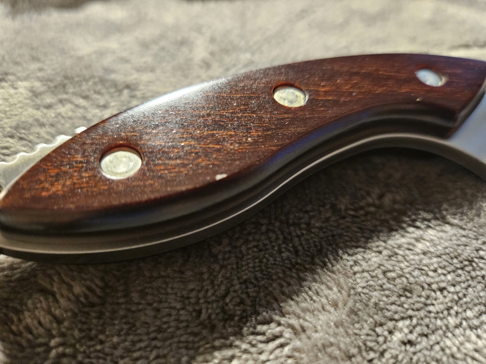 Buck 196 Mini Alpha Hunter w/ Sheath 