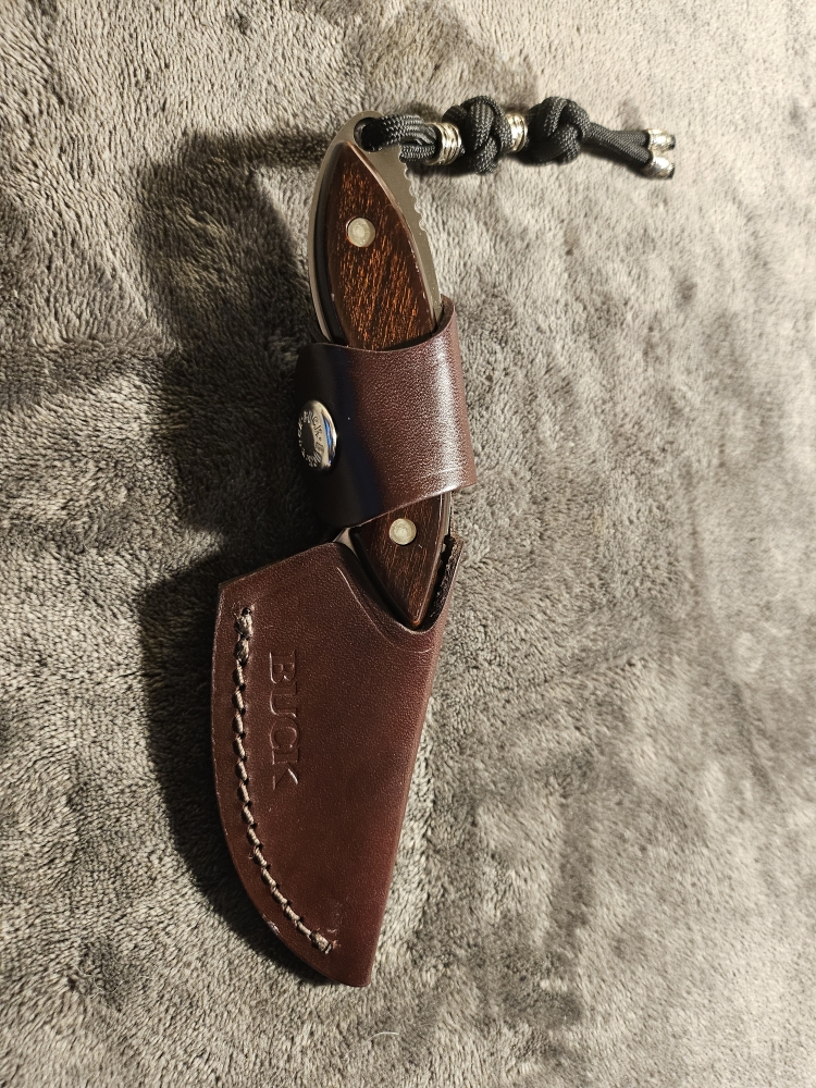 Buck 196 Mini Alpha Hunter w/ Sheath 