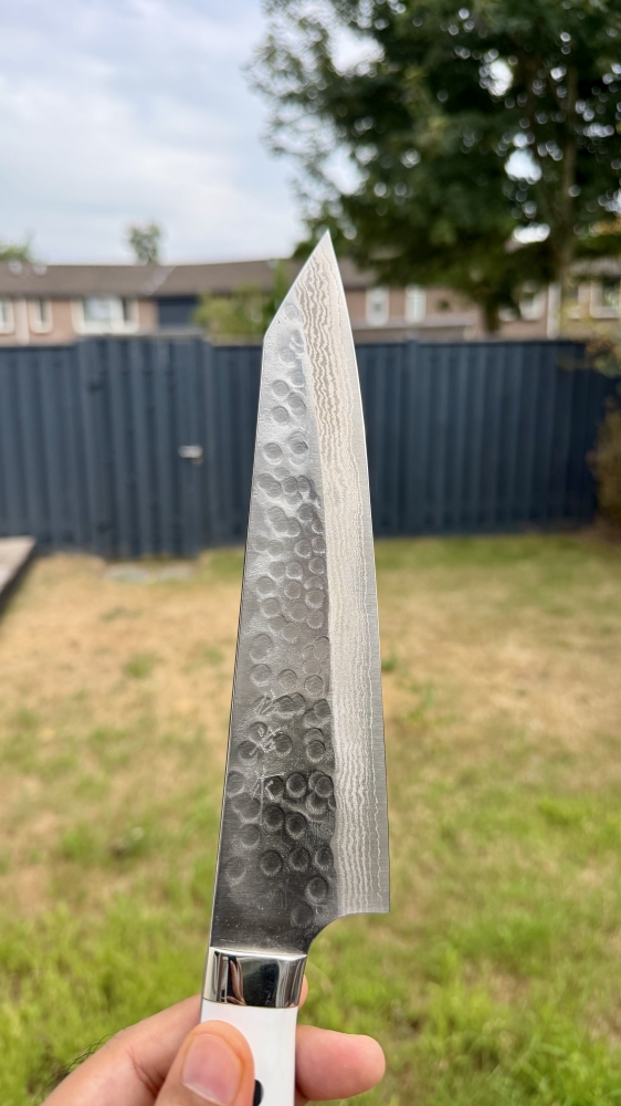 Takeshi Saji SRS13 Corian kiritsuke Gyuto 210mm bnib