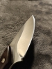 Buck 196 Mini Alpha Hunter w/ Sheath 