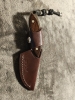 Buck 196 Mini Alpha Hunter w/ Sheath 