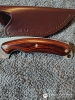 Buck Alpha 194 First Production Run 1 of 500